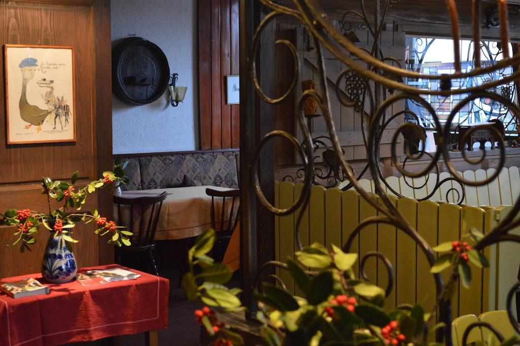Hotel Goldene Gans 曼海姆 外观 照片